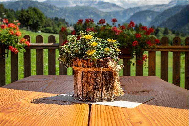 Hotel Garni La Soldanella Madonna di Campiglio Luaran gambar